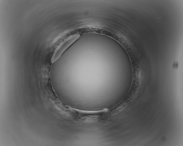 X0000111191110200907151342