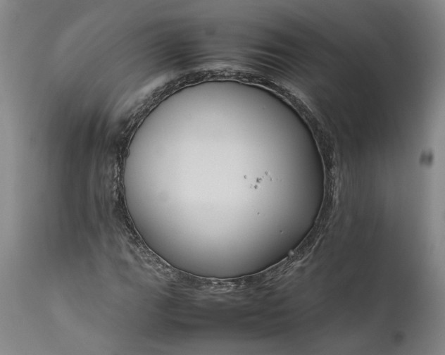 X0000111191111200907151342