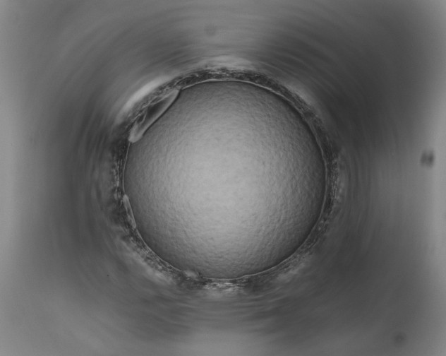 X0000111191112200907151342