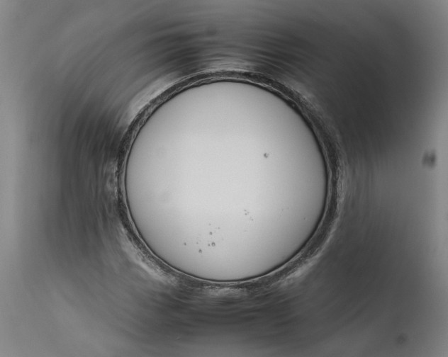 X0000111191113200907151342