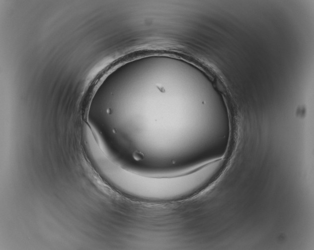 X0000111191114200907151342