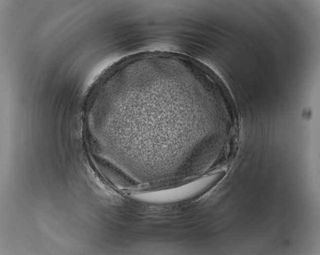 X0000111191115200907151342