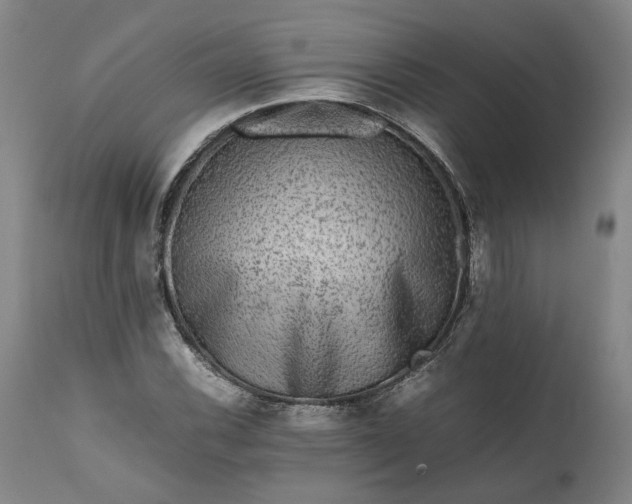 X0000111191116200907151342