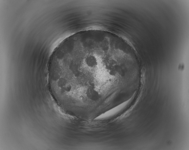 X0000111191117200907151342