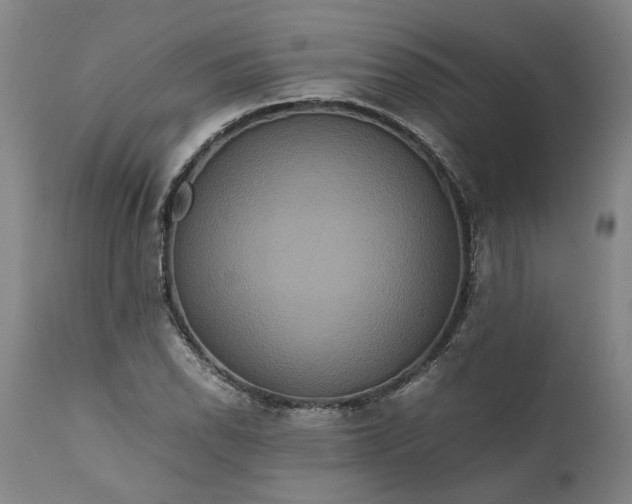 X0000111191118200907151342