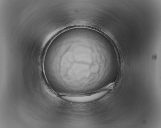 X0000111191120200907151342