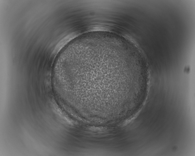 X0000111191121200907151342