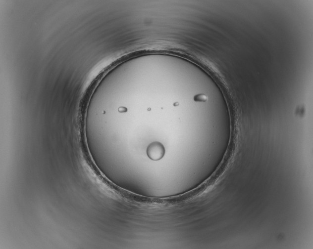 X0000111191122200907151342