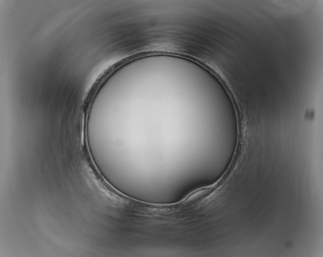 X0000111191123200907151342