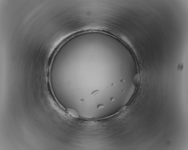 X0000111191124200907151342