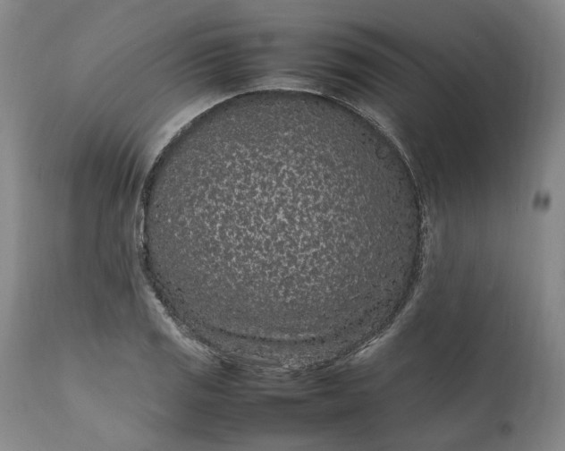 X0000111191125200907151342