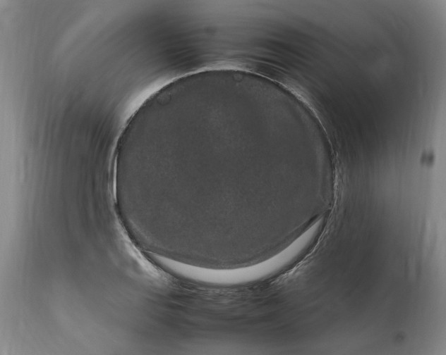 X0000111191127200907151342