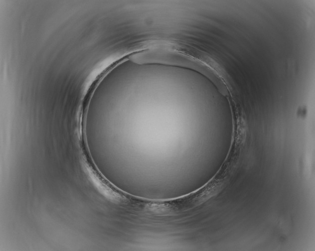 X0000111191128200907151342