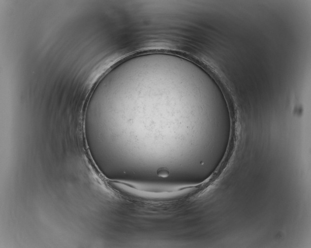 X0000111191129200907151343