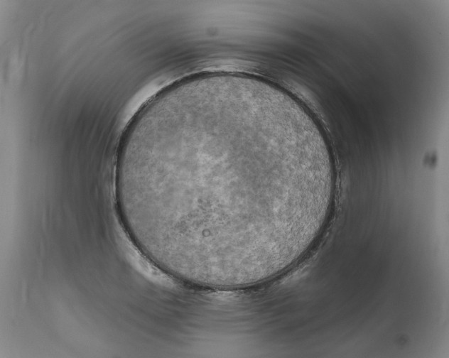 X0000111191130200907151343