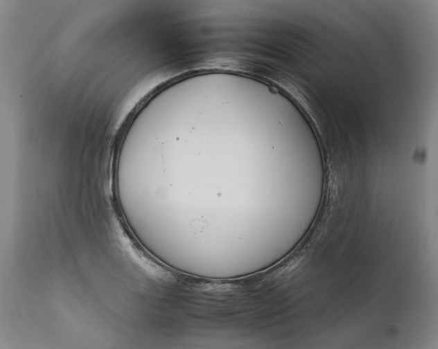 X0000111191131200907151343