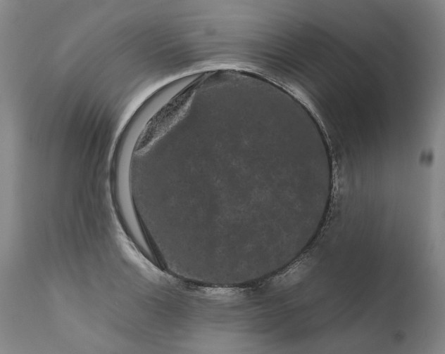 X0000111191132200907151343