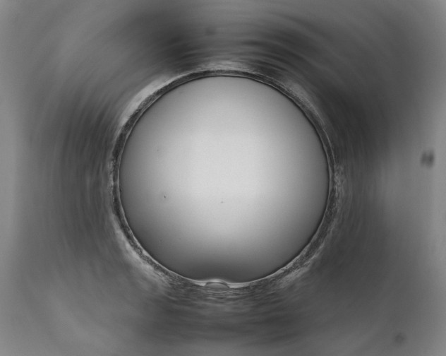 X0000111191133200907151343