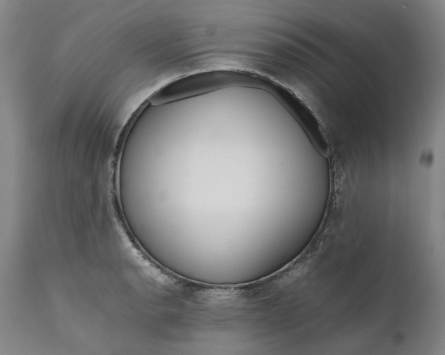 X0000111191134200907151343