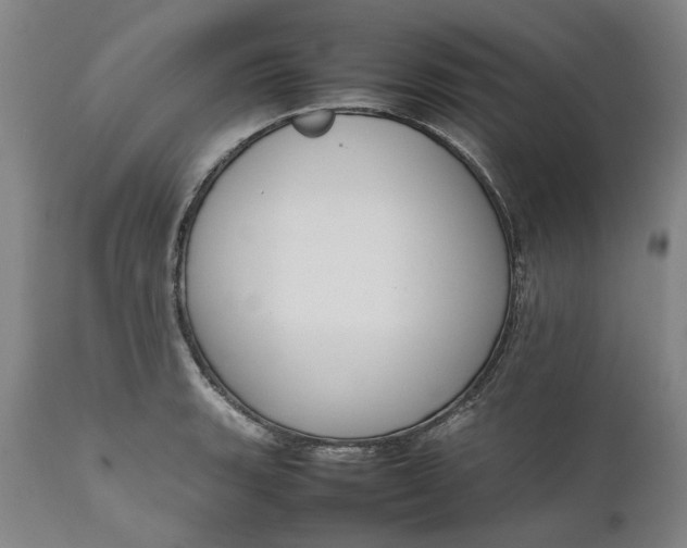 X0000111191135200907151343