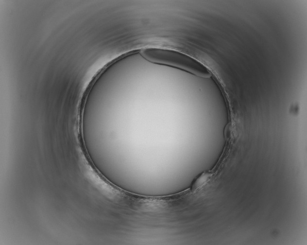 X0000111191136200907151343