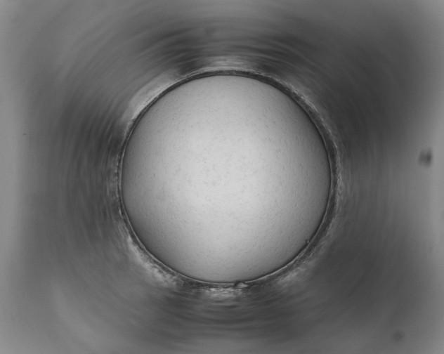 X0000111191137200907151343