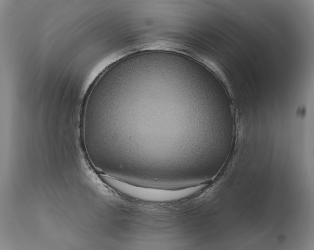 X0000111191138200907151343