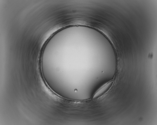 X0000111191139200907151343