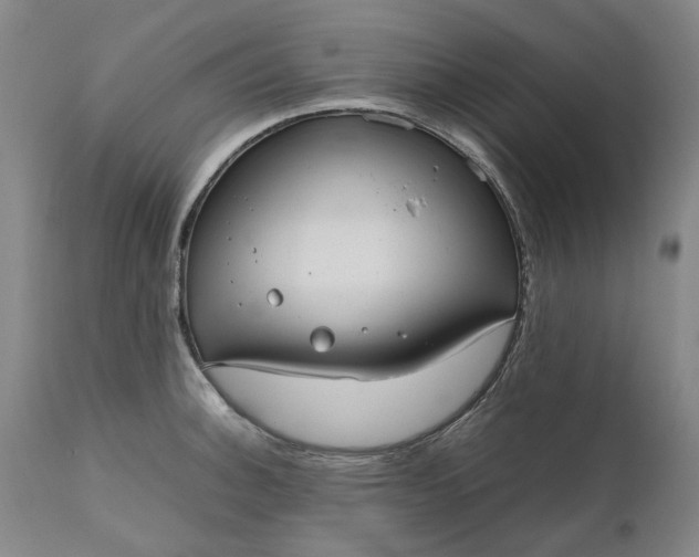 X0000111191140200907151343