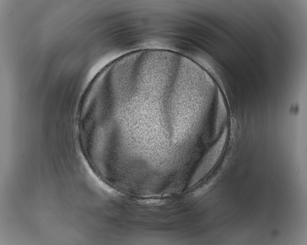 X0000111191141200907151343