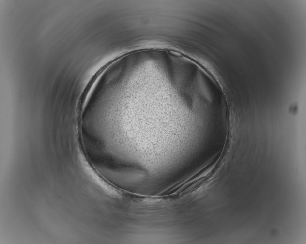 X0000111191142200907151343