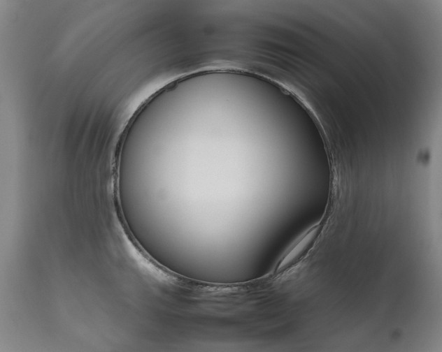 X0000111191143200907151343