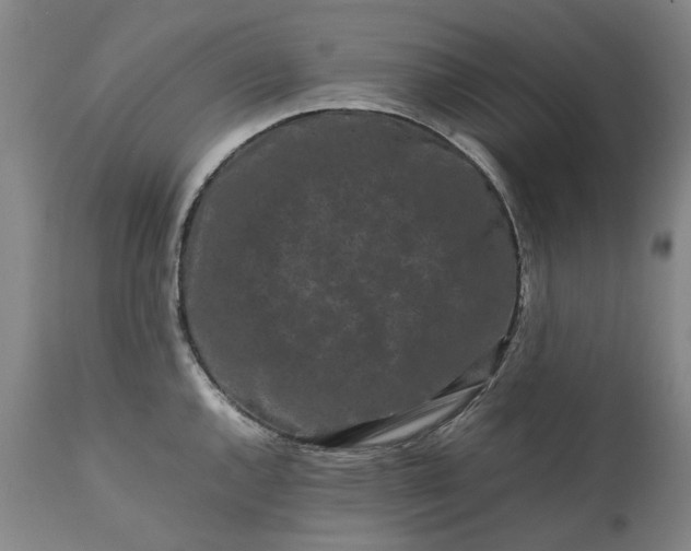 X0000111191144200907151343