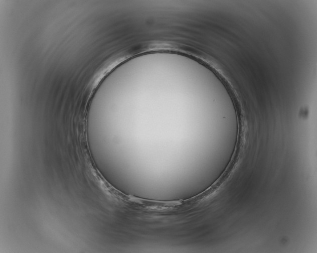 X0000111191145200907151343