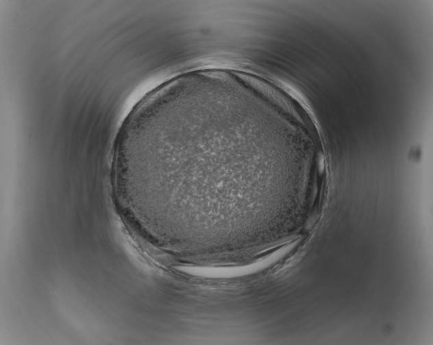 X0000111191146200907151343