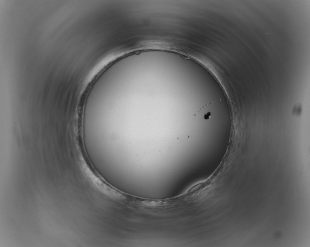 X0000111191147200907151343