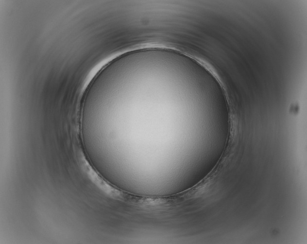 X0000111191148200907151343