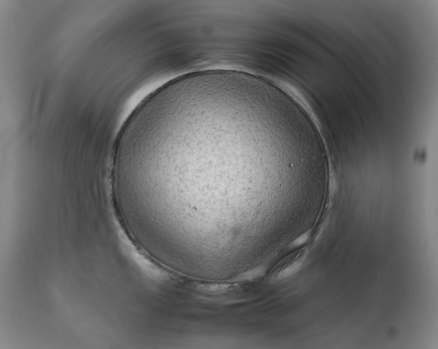 X0000111191149200907151343