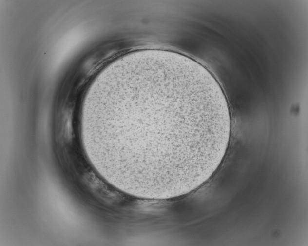 X0000111191150200907151343