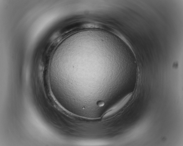 X0000111191151200907151343