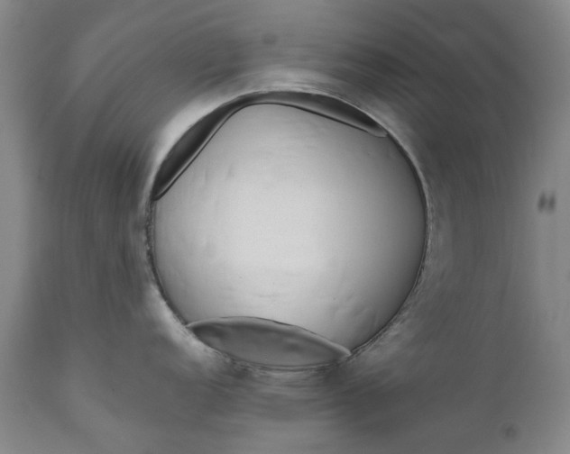 X0000111191152200907151343