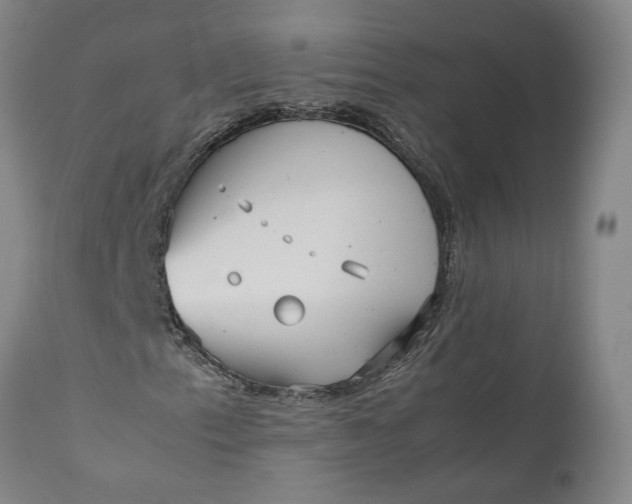 X0000111191153200907151342