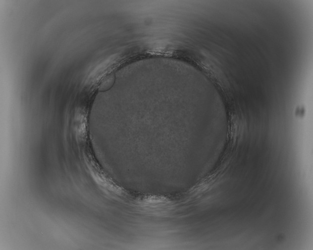 X0000111191154200907151342