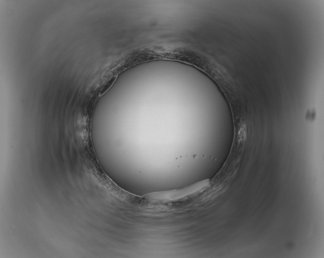 X0000111191156200907151342