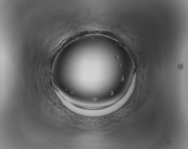 X0000111191157200907151342