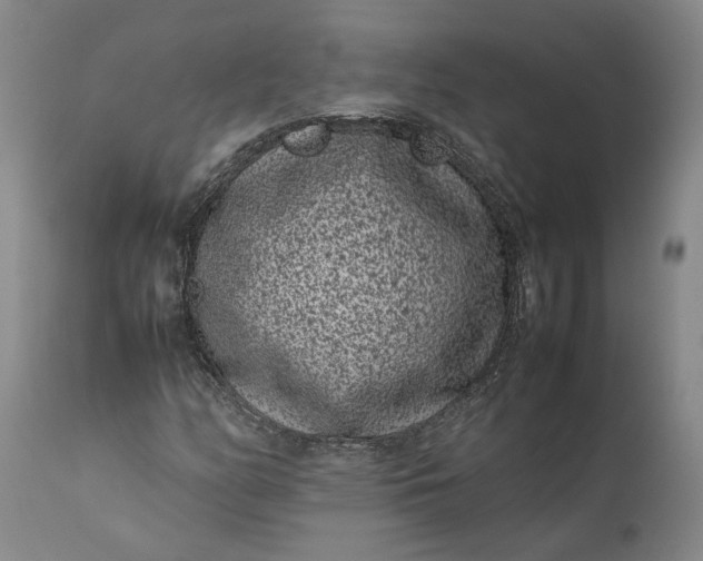 X0000111191158200907151342