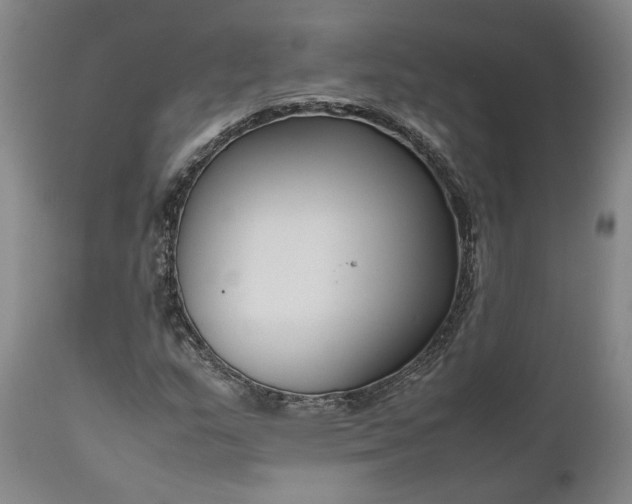 X0000111191159200907151342