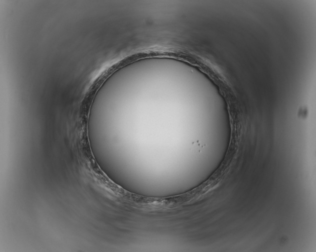 X0000111191160200907151342