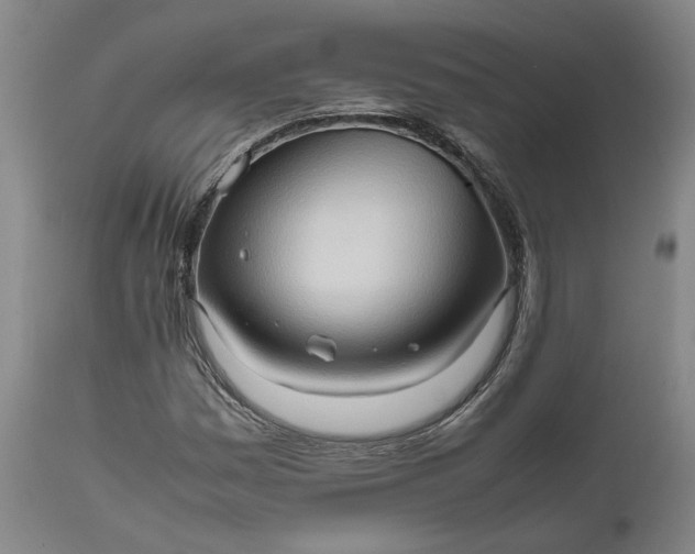 X0000111191161200907151342