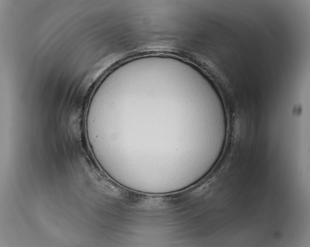 X0000111191162200907151342